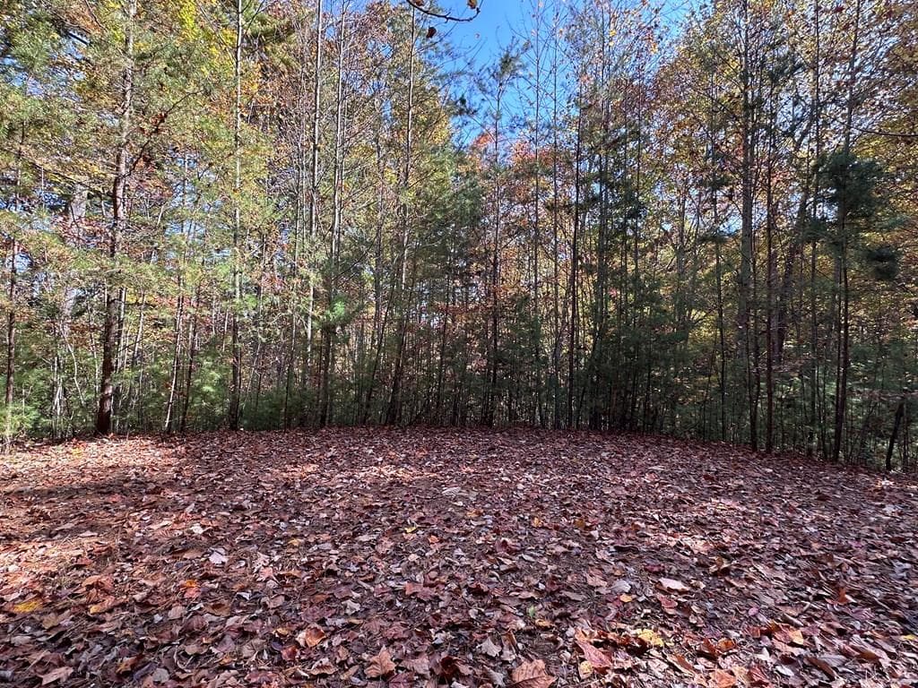 TBD Atoah Loop, Murphy NC 28906 - Primary photo