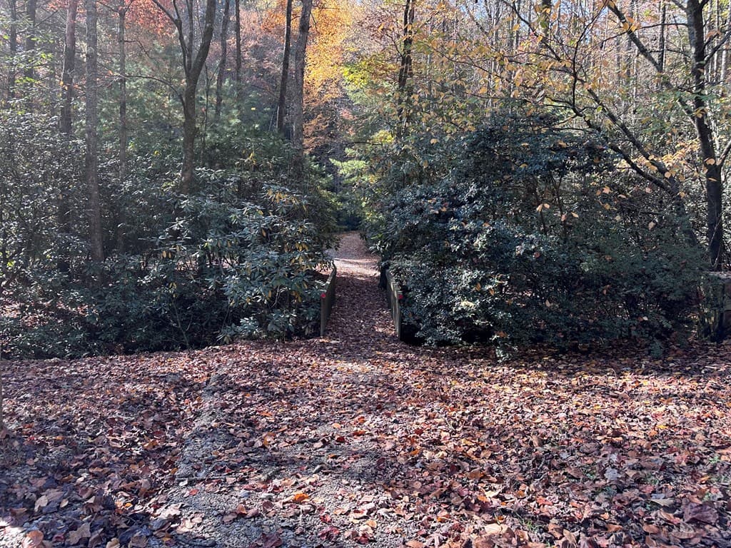 TBD Atoah Loop, Murphy NC 28906 - Photo