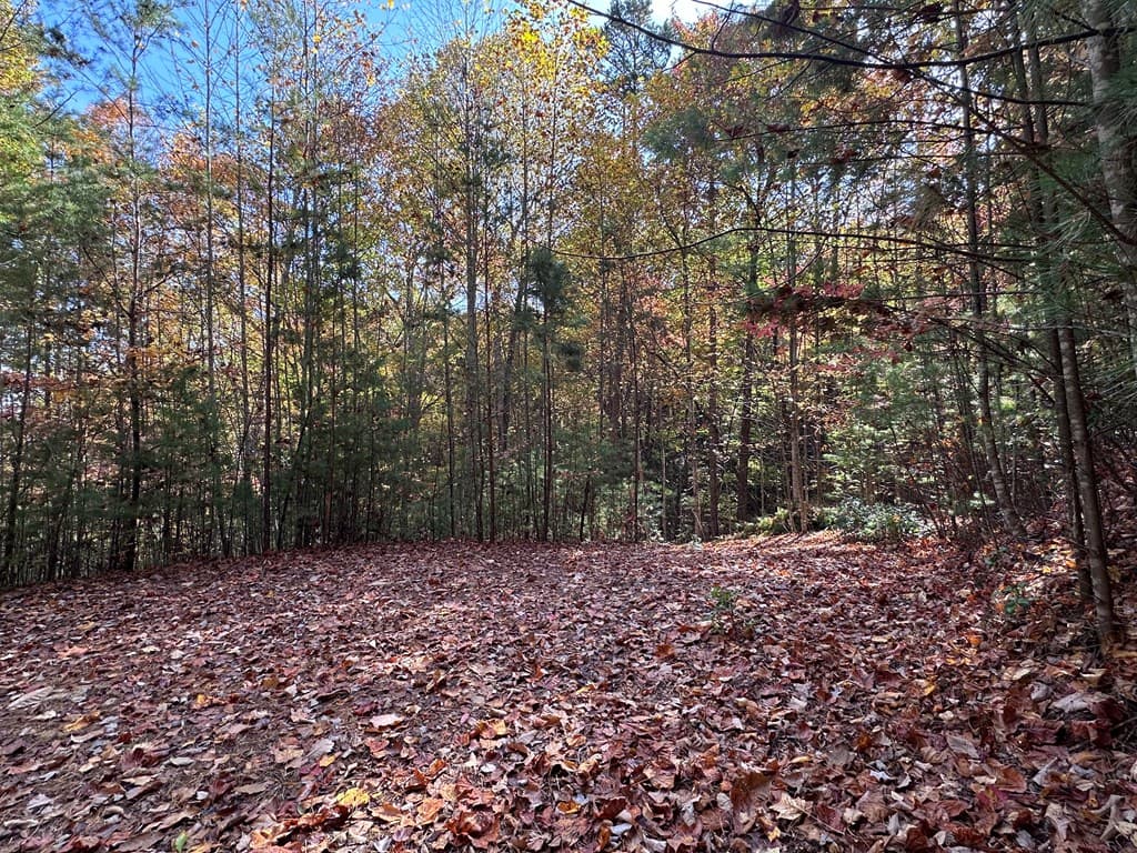 TBD Atoah Loop, Murphy NC 28906 - Photo