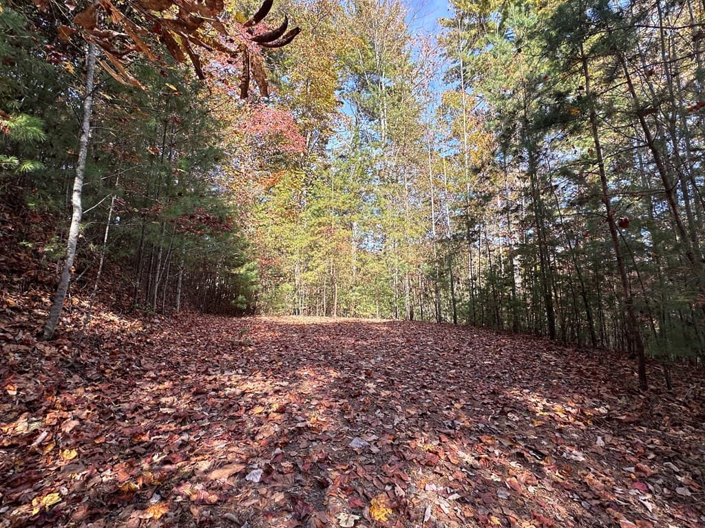TBD Atoah Loop, Murphy NC 28906 - Photo