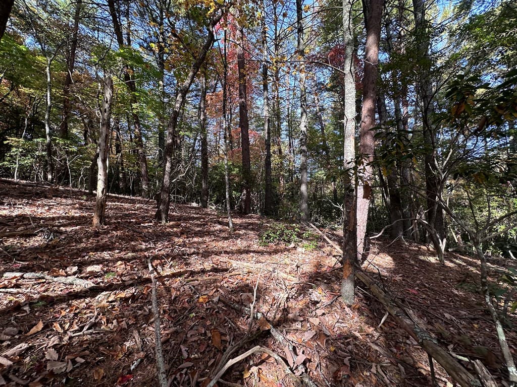 TBD Atoah Loop, Murphy NC 28906 - Photo