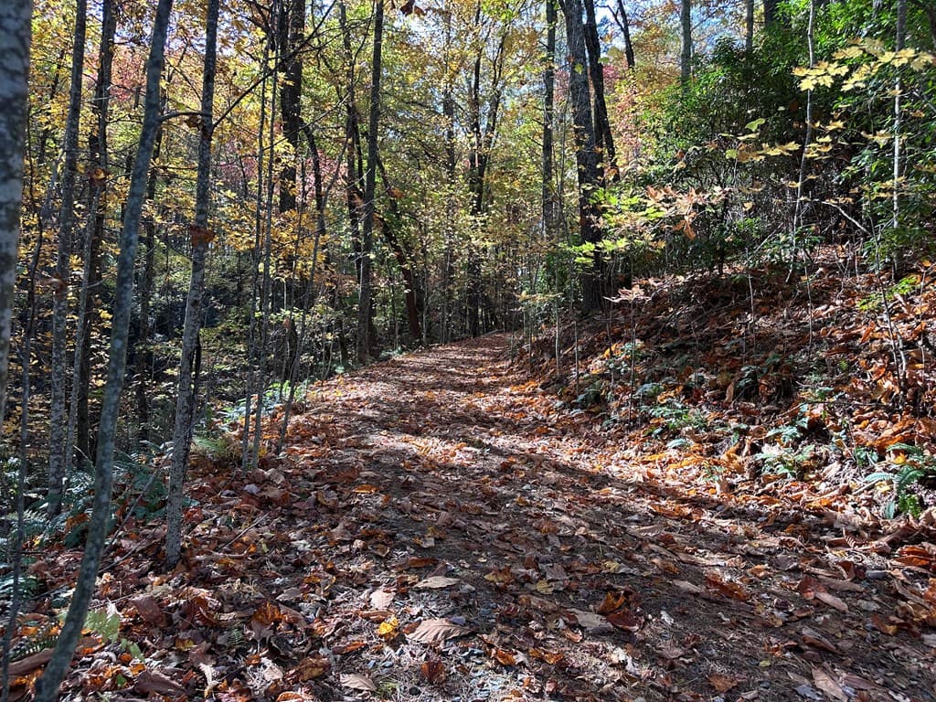 TBD Atoah Loop, Murphy NC 28906 - Photo