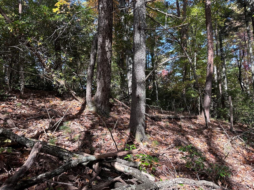 TBD Atoah Loop, Murphy NC 28906 - Photo