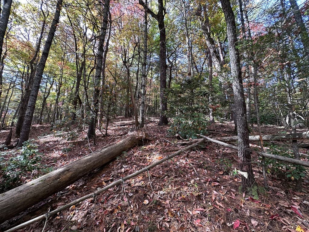 TBD Atoah Loop, Murphy NC 28906 - Photo