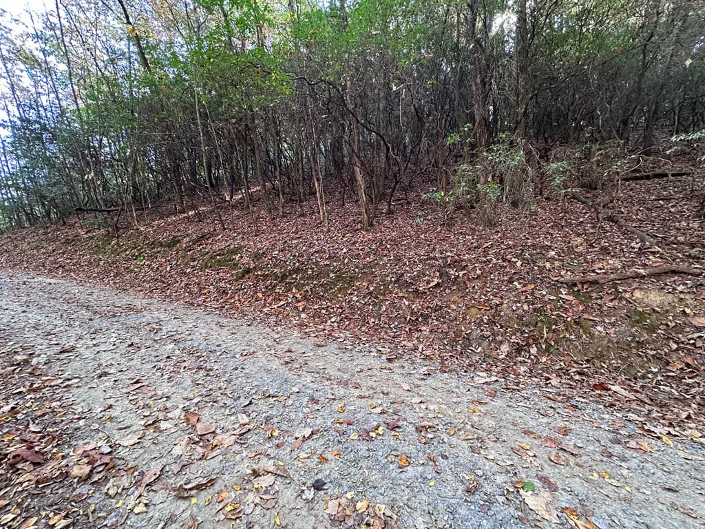 TBD Atoah Loop, Murphy NC 28906 - Photo
