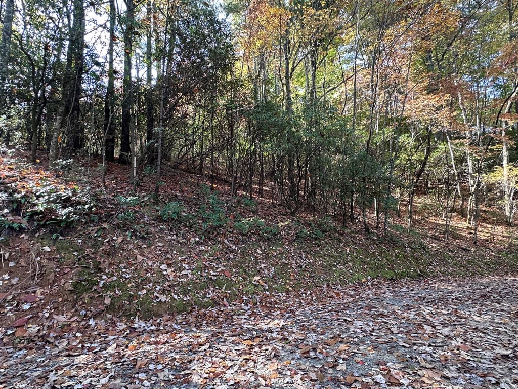 TBD Atoah Loop, Murphy NC 28906 - Photo
