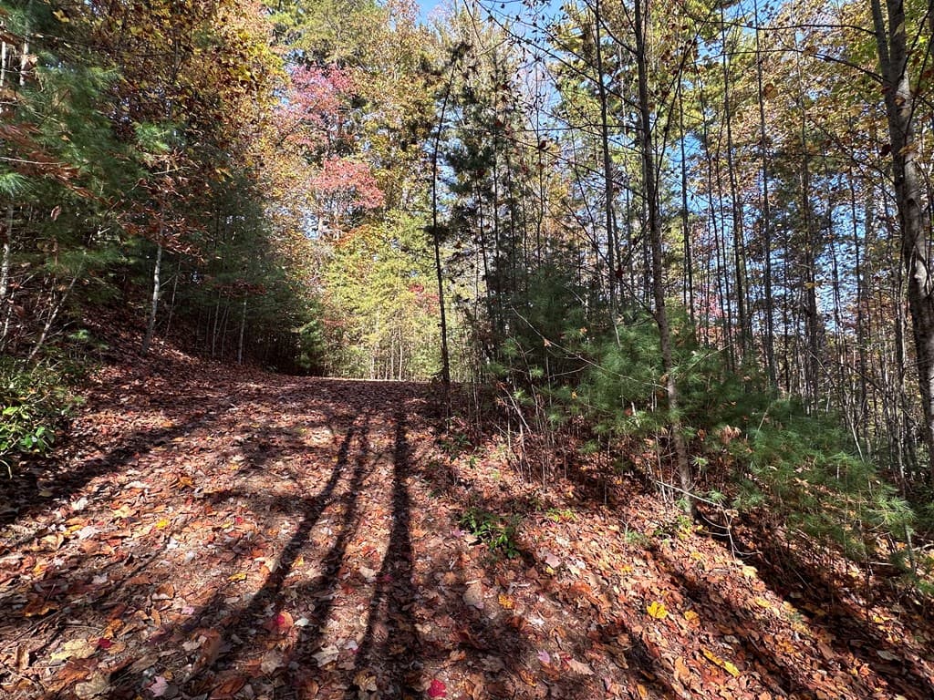 TBD Atoah Loop, Murphy NC 28906 - Photo