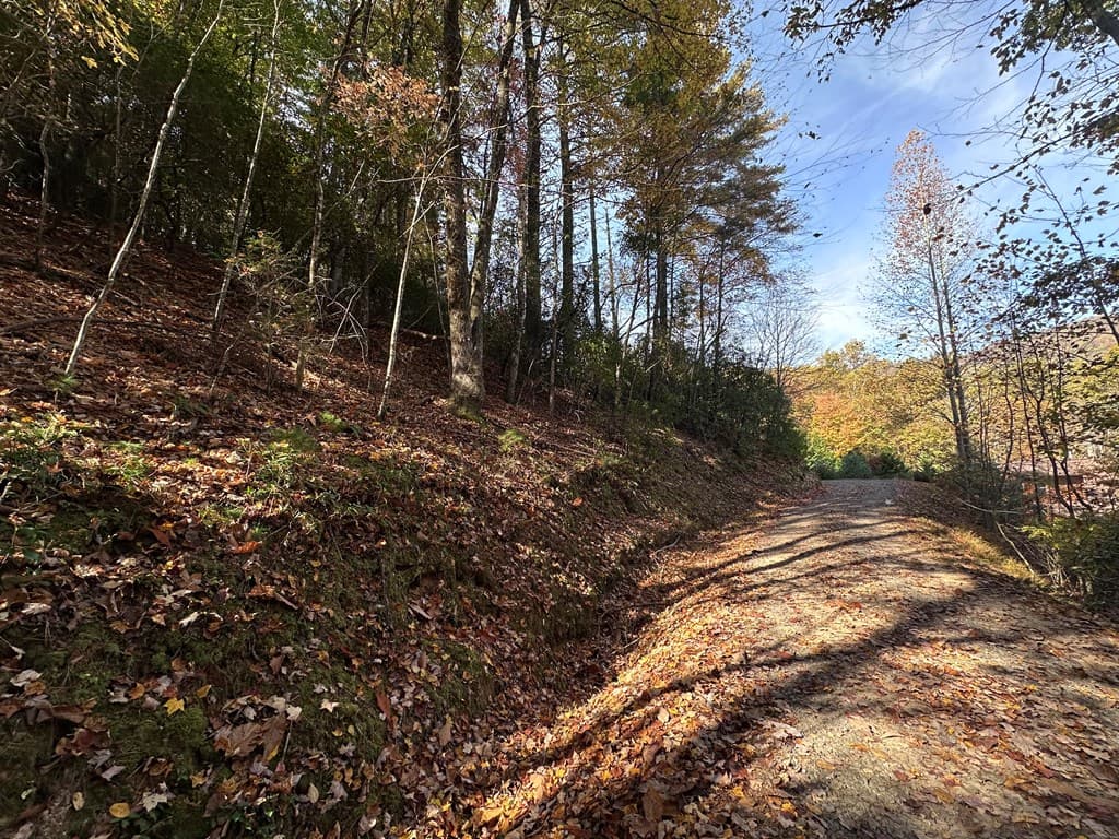 TBD Atoah Loop, Murphy NC 28906 - Photo