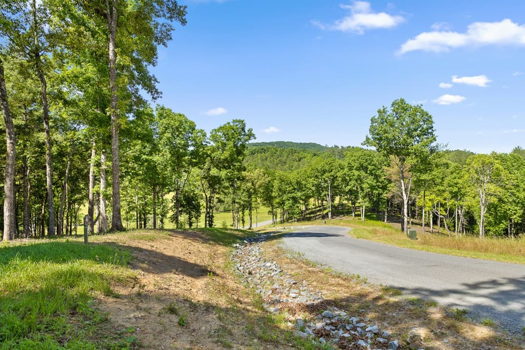 Lot 4 Ridge Drive, Morganton GA 30560 - Photo