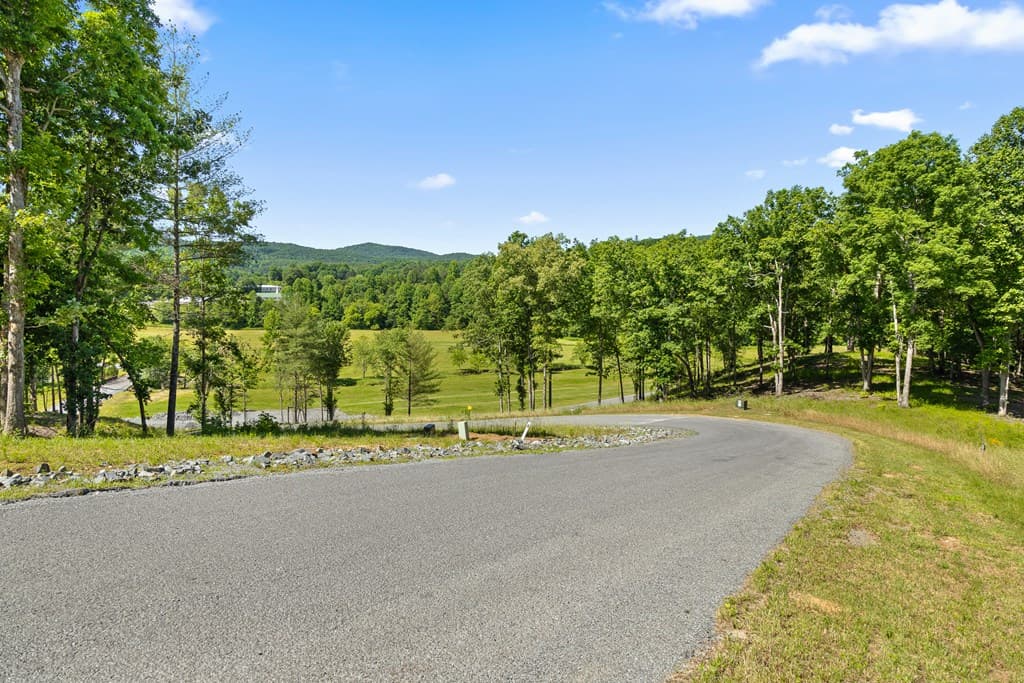 Lot 4 Ridge Drive, Morganton GA 30560 - Photo