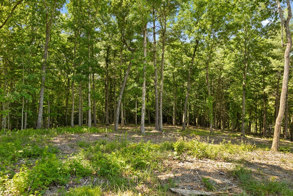Lot 4 Ridge Drive, Morganton GA 30560 - Photo
