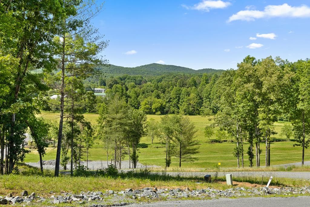 Lot 4 Ridge Drive, Morganton GA 30560 - Primary photo