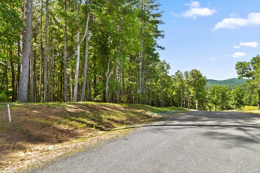 Lot 4 Ridge Drive, Morganton GA 30560 - Photo