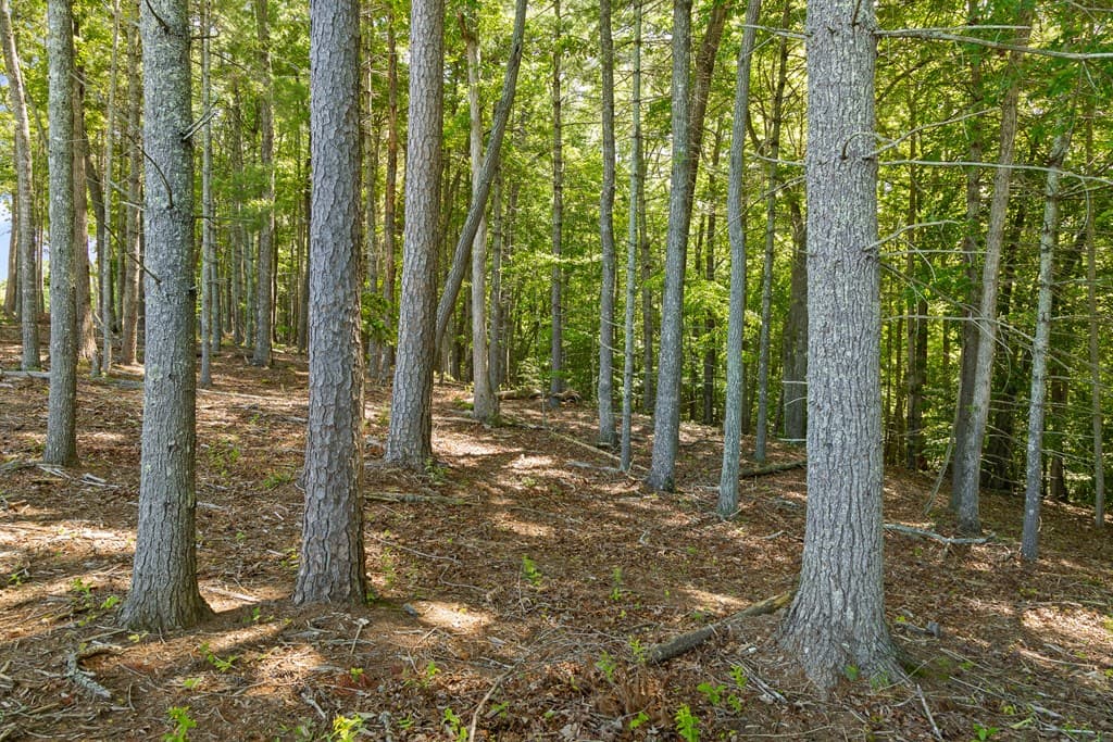 Lot 4 Ridge Drive, Morganton GA 30560 - Photo