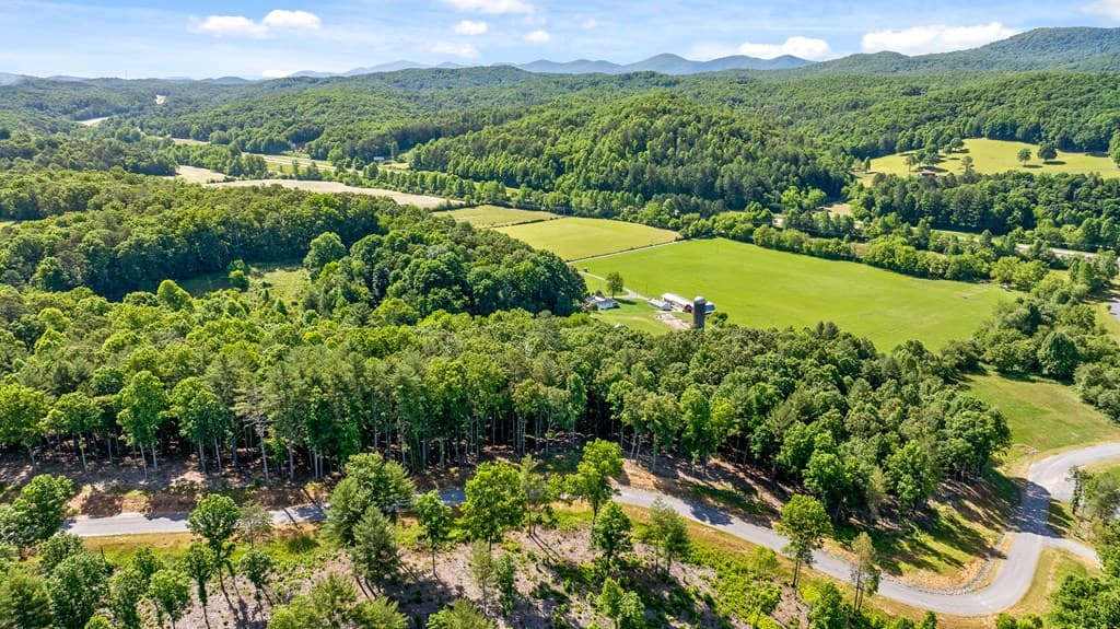 Lot 4 Ridge Drive, Morganton GA 30560 - Photo