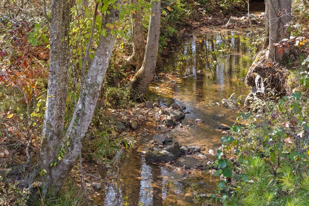 Lot 334 Twisted Oak Road, Talking Rock GA 30175 - Photo