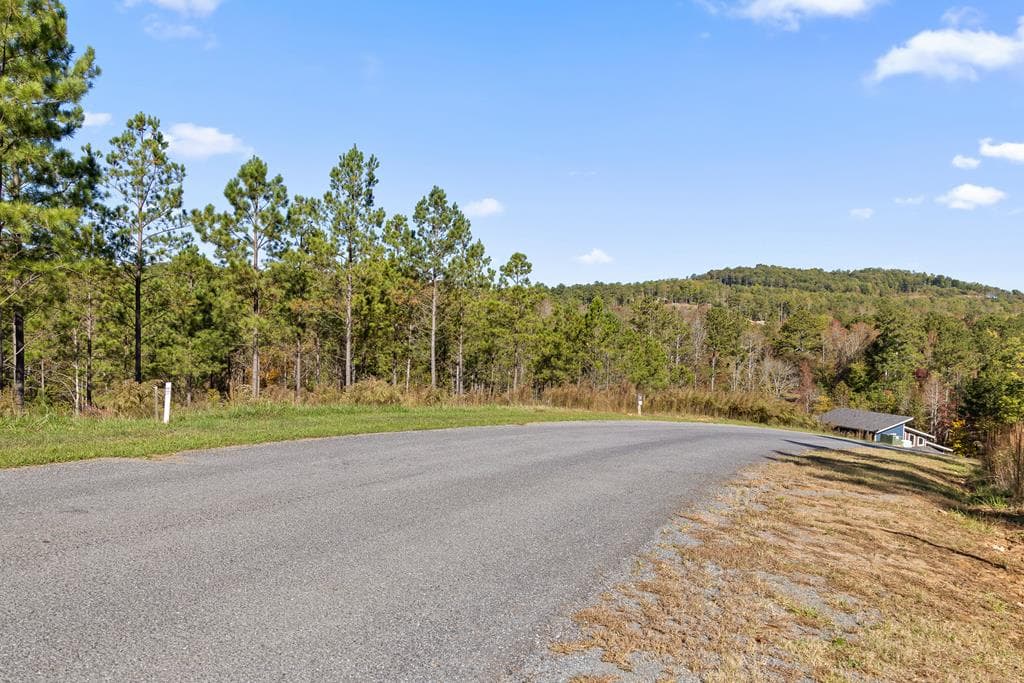 Lot 334 Twisted Oak Road, Talking Rock GA 30175 - Photo