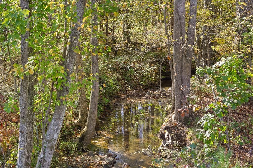 Lot 334 Twisted Oak Road, Talking Rock GA 30175 - Primary photo