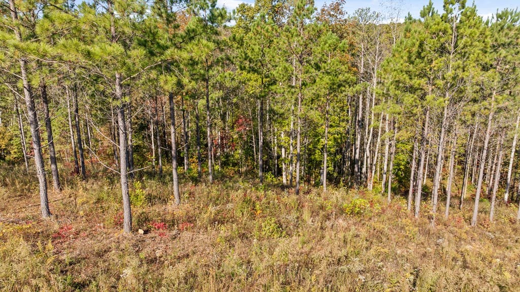 Lot 334 Twisted Oak Road, Talking Rock GA 30175 - Photo