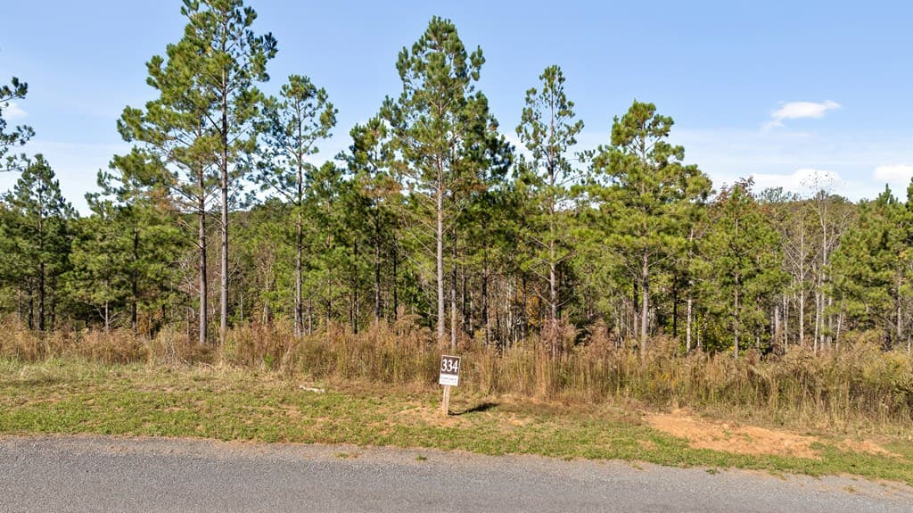 Lot 334 Twisted Oak Road, Talking Rock GA 30175 - Photo