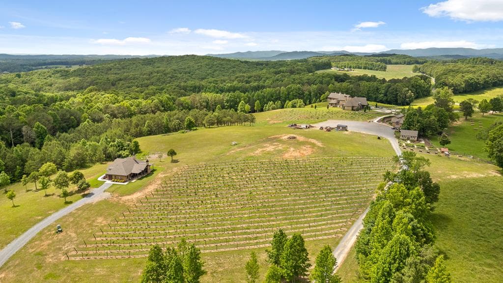 Lot 334 Twisted Oak Road, Talking Rock GA 30175 - Photo