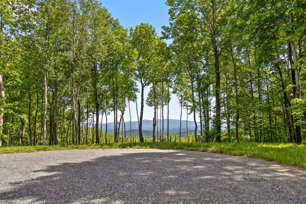 Lot 376 Calloway Mountain Road, Talking Rock GA 30175 - Photo