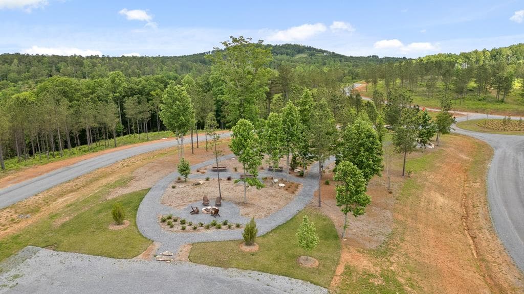Lot 376 Calloway Mountain Road, Talking Rock GA 30175 - Photo