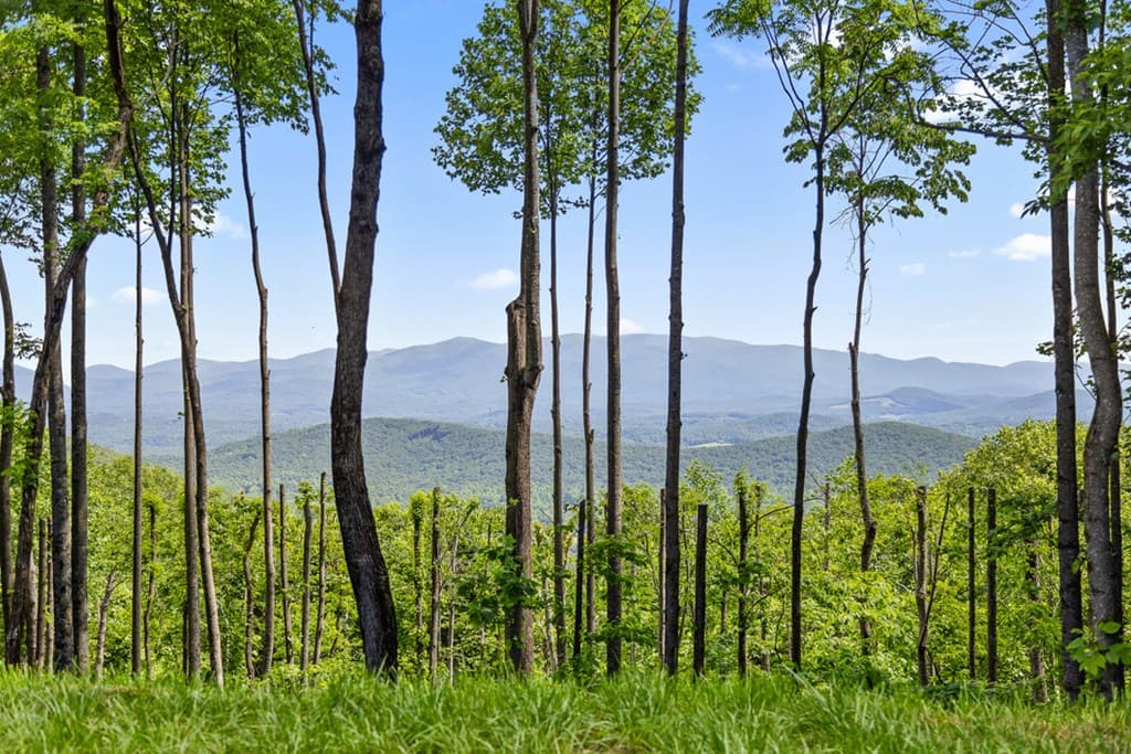 Lot 376 Calloway Mountain Road, Talking Rock GA 30175 - Photo