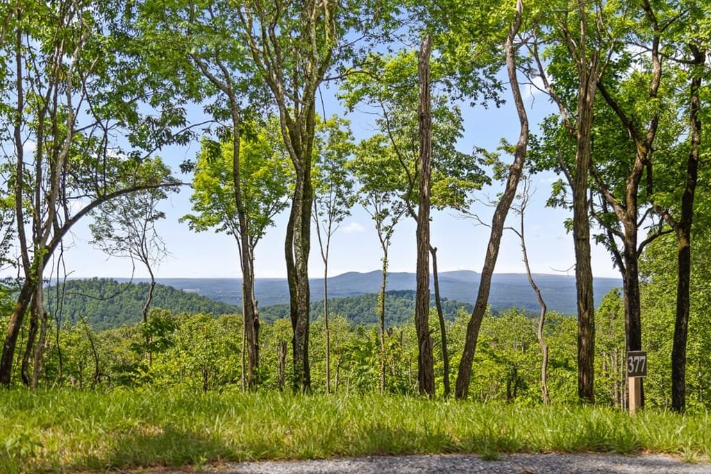 Lot 376 Calloway Mountain Road, Talking Rock GA 30175 - Photo