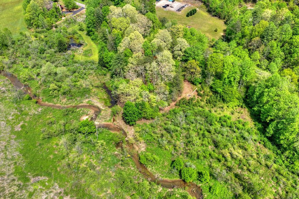 4081 Whitepath Road, Cherry Log GA 30522 - Photo