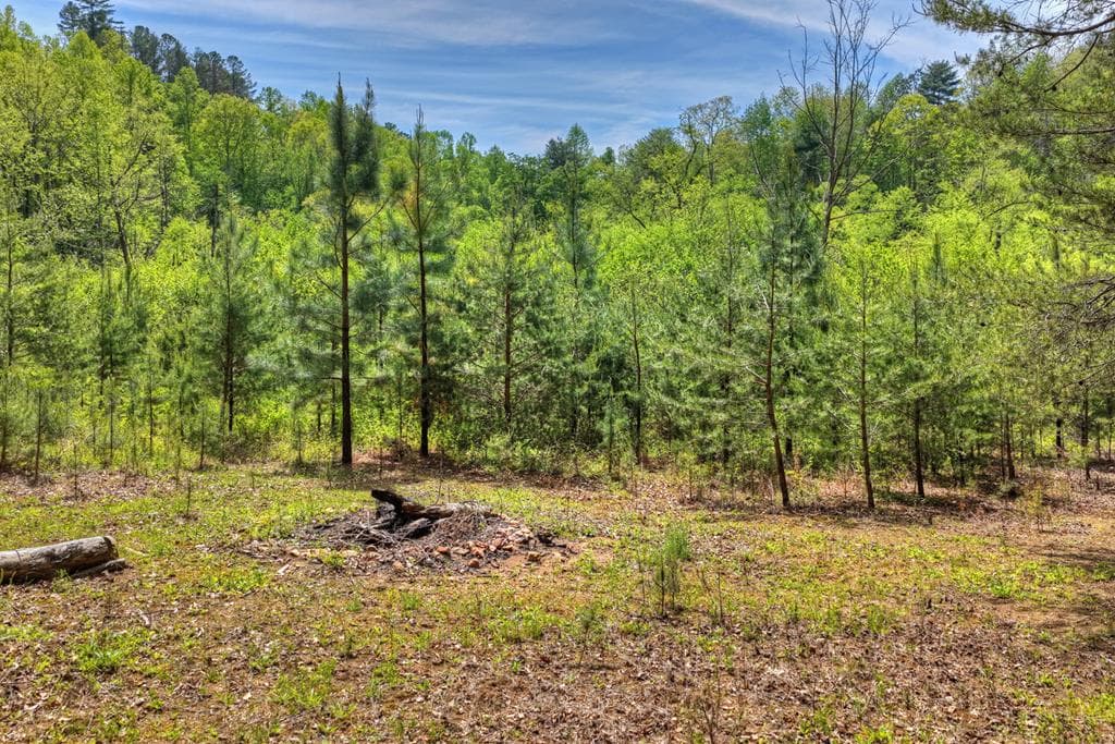 4081 Whitepath Road, Cherry Log GA 30522 - Photo
