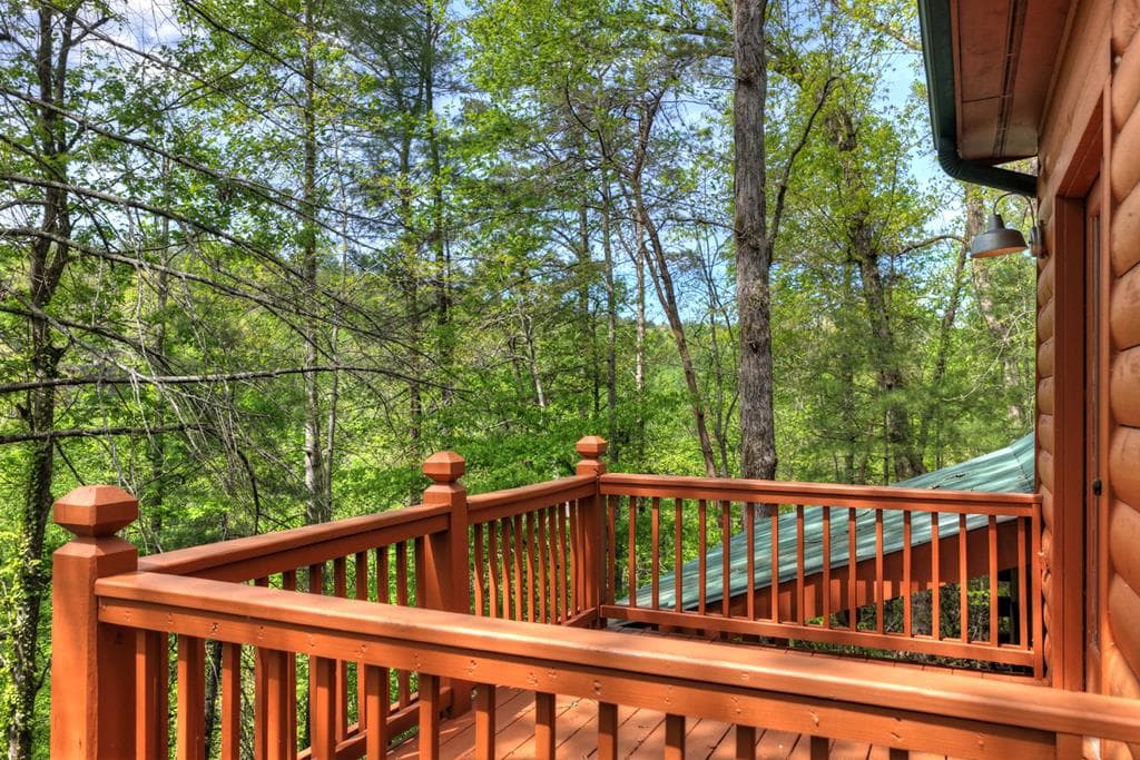 4081 Whitepath Road, Cherry Log GA 30522 - Photo