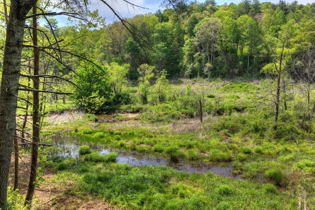 4081 Whitepath Road, Cherry Log GA 30522 - Photo