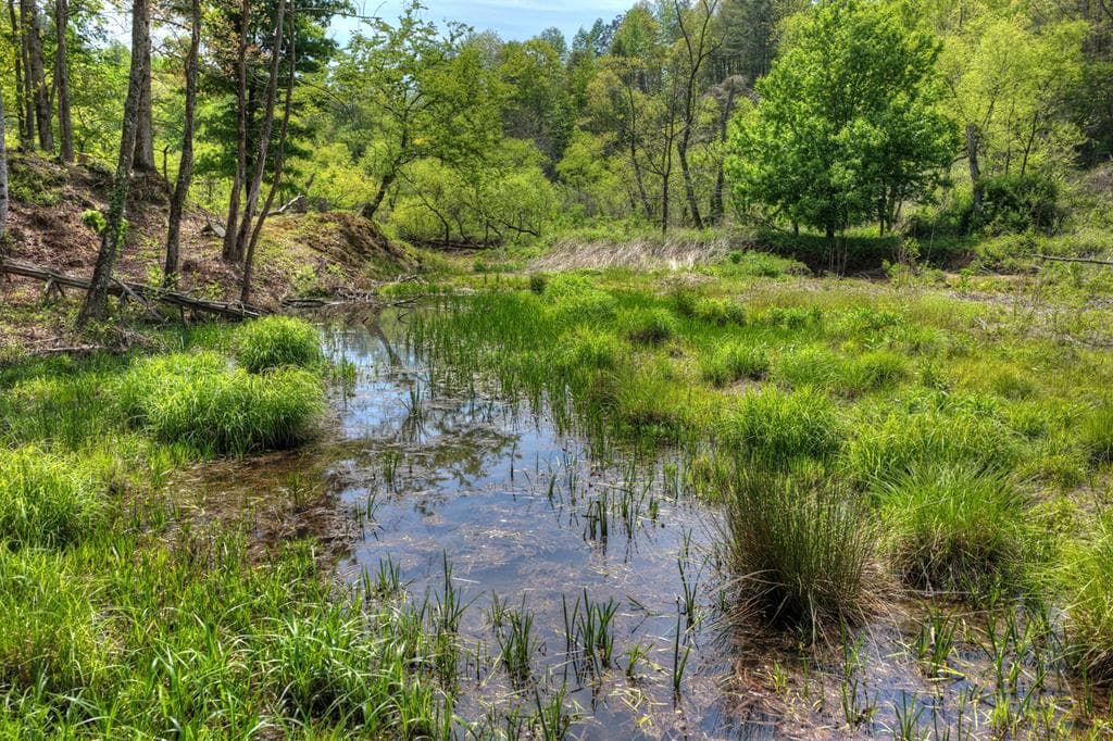 4081 Whitepath Road, Cherry Log GA 30522 - Photo