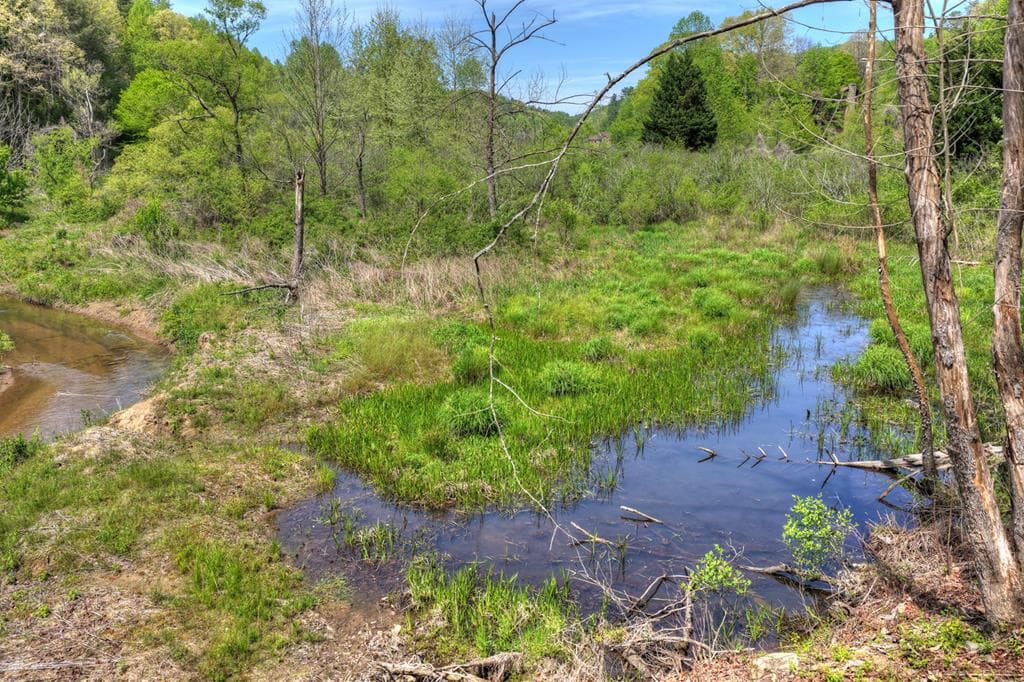 4081 Whitepath Road, Cherry Log GA 30522 - Photo