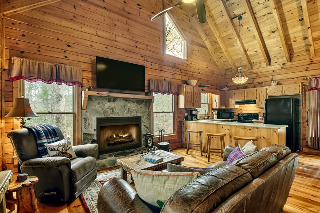 4081 Whitepath Road, Cherry Log GA 30522 - Photo