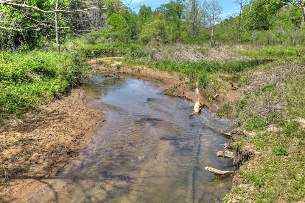 4081 Whitepath Road, Cherry Log GA 30522 - Photo