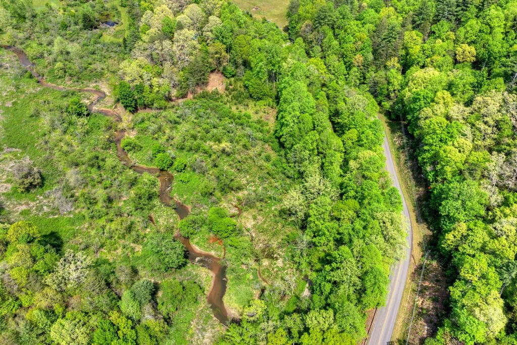 4081 Whitepath Road, Cherry Log GA 30522 - Photo
