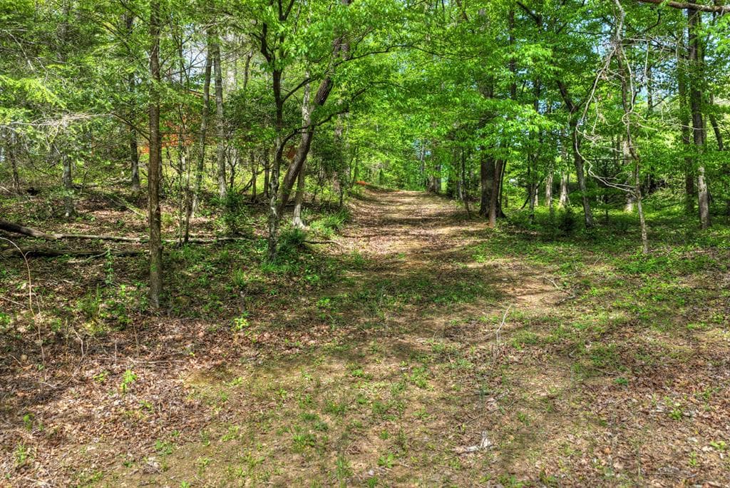 4081 Whitepath Road, Cherry Log GA 30522 - Photo