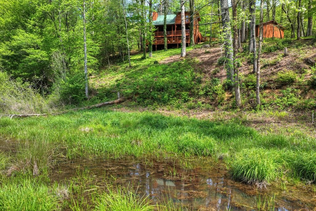 4081 Whitepath Road, Cherry Log GA 30522 - Photo