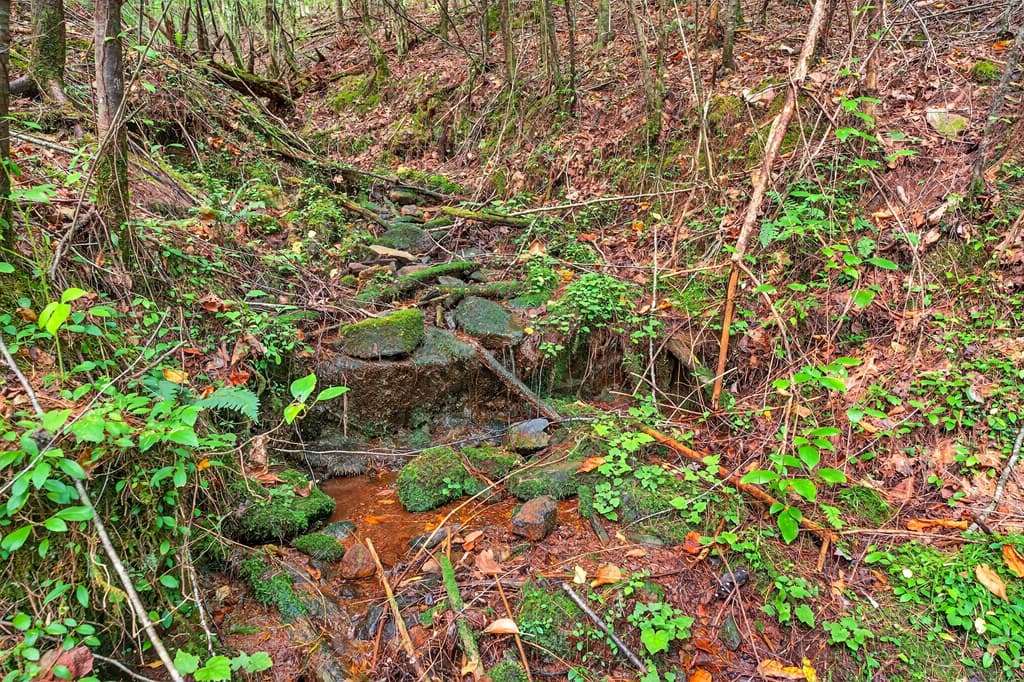 00 Hayden Lane, Murphy NC 28906 - Photo