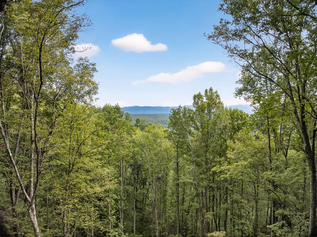 00 Hayden Lane, Murphy NC 28906 - Photo