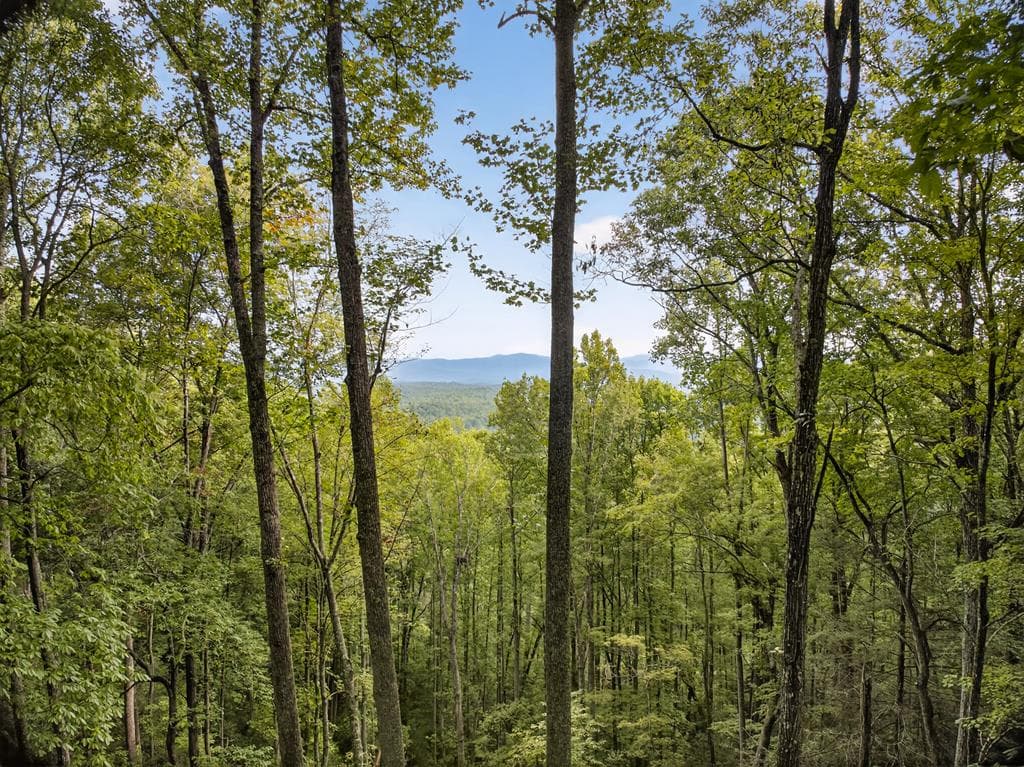 00 Hayden Lane, Murphy NC 28906 - Primary photo