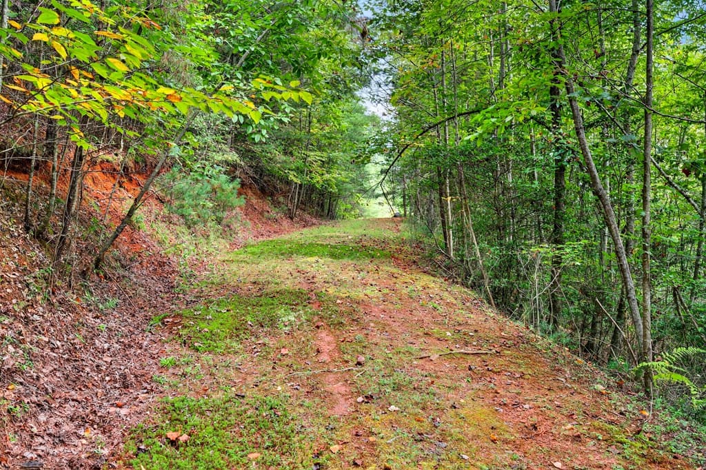 00 Hayden Lane, Murphy NC 28906 - Photo