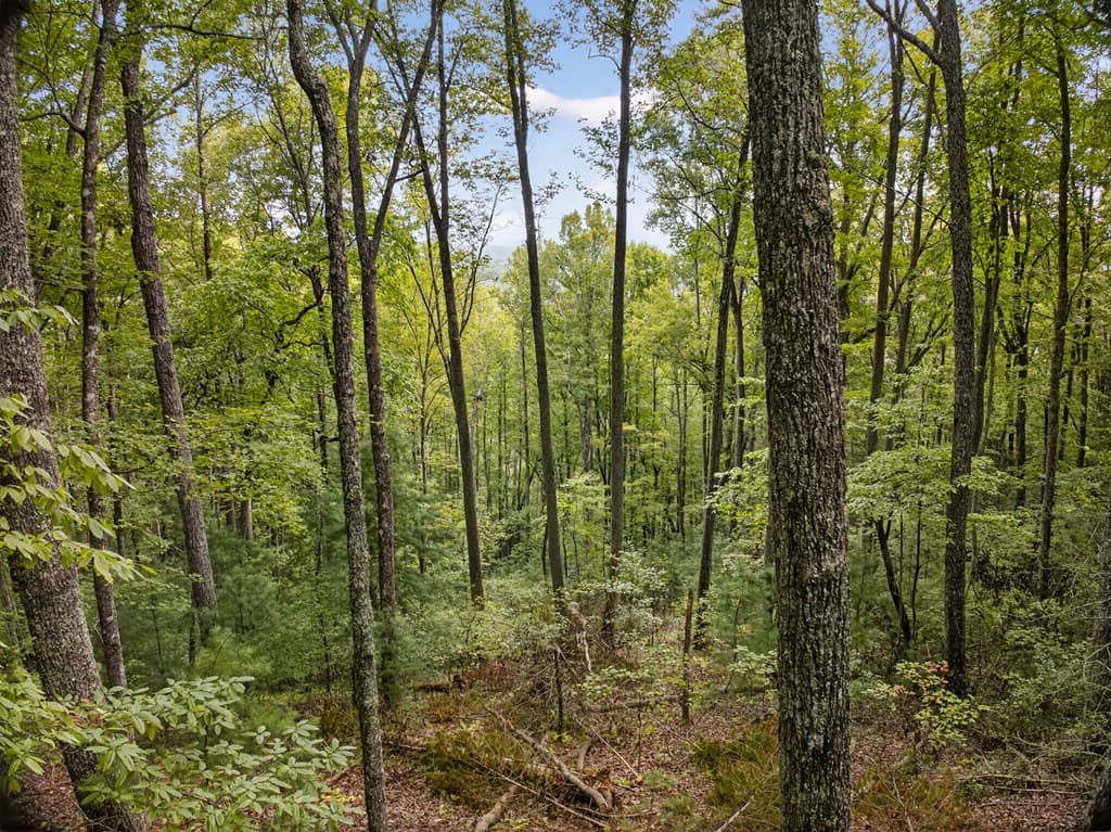 00 Hayden Lane, Murphy NC 28906 - Photo