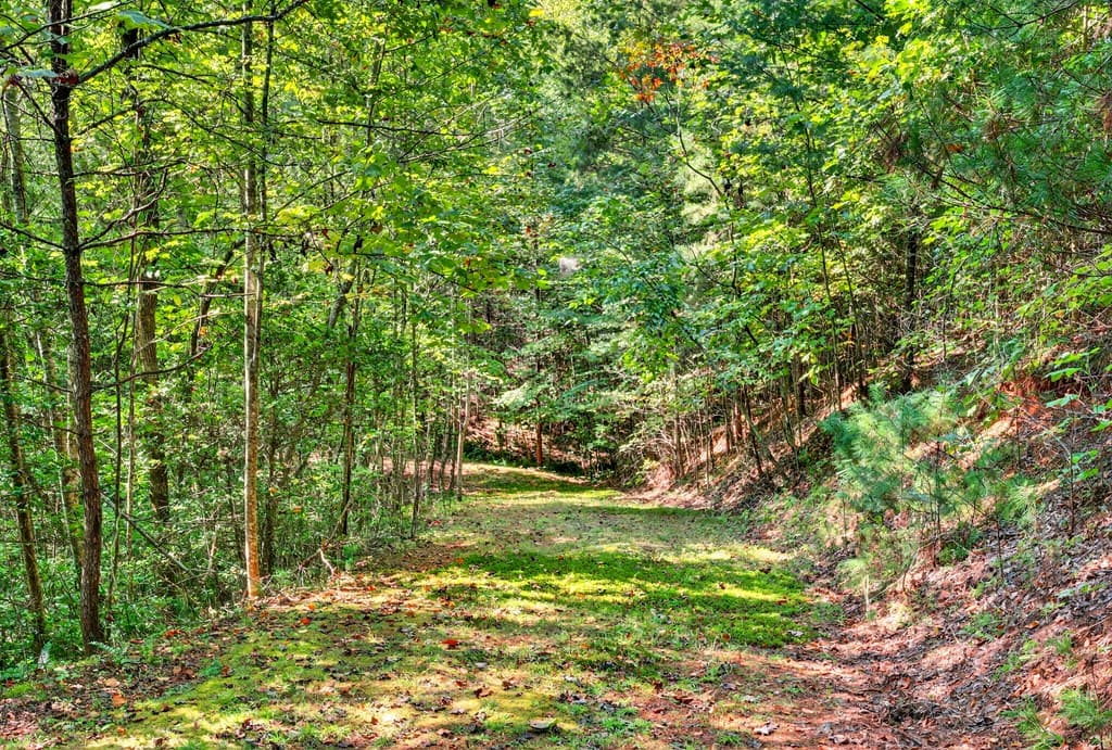 00 Hayden Lane, Murphy NC 28906 - Photo