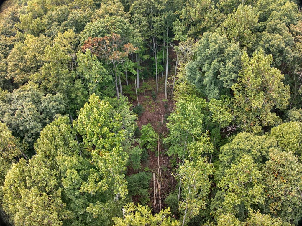 00 Hayden Lane, Murphy NC 28906 - Photo