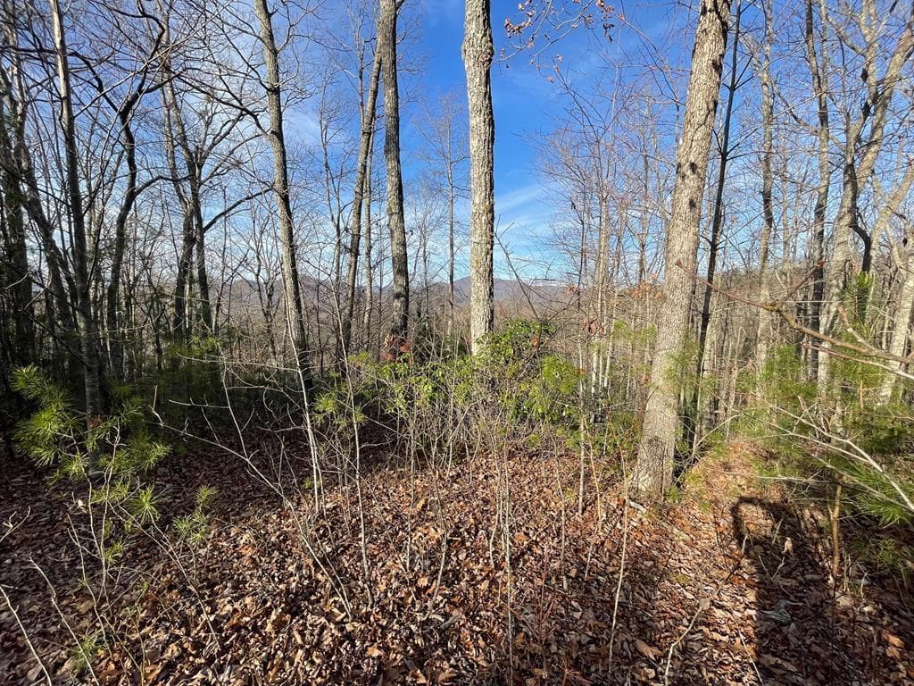 Lot 14 Big Cove Drive, Hiawassee GA 30546 - Photo