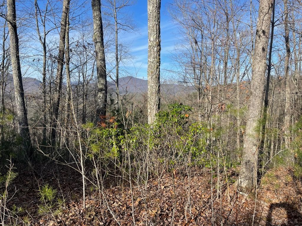 Lot 14 Big Cove Drive, Hiawassee GA 30546 - Photo