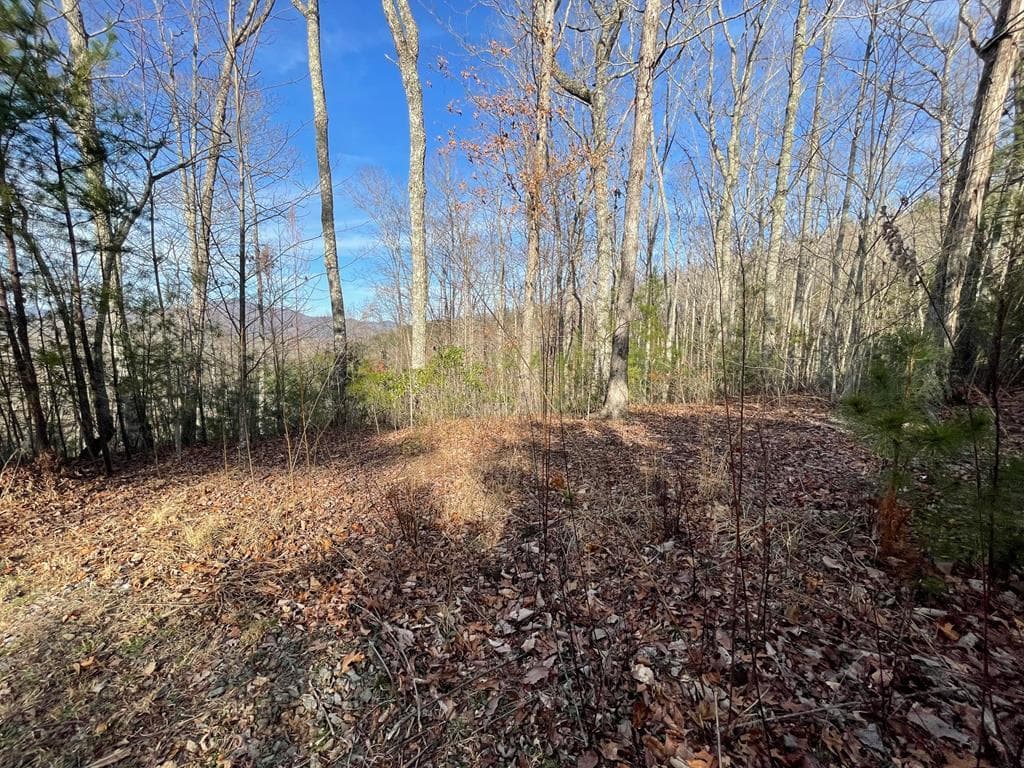 Lot 14 Big Cove Drive, Hiawassee GA 30546 - Primary photo